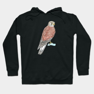 Nankeen Kestrel Hoodie